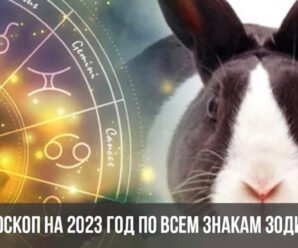 Что год Кролика принесет всем знакам по восточному гороскопу