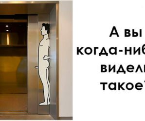 29 раз, когда дизайнер лифта придумал что-то гениальное