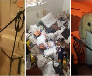 14 худших соседей по комнате, которые так ужасны, что это не укладывается в голове