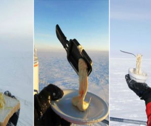 Что будет, если попытаться пообедать при -70C