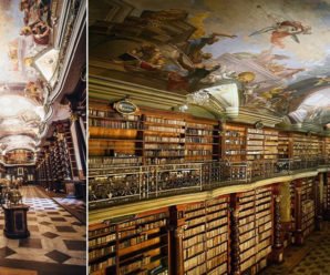 Красивейшая библиотека мира находится в Праге